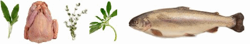 food banner4