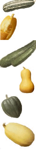 food border3