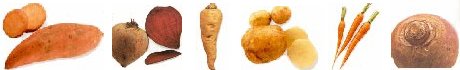 food banner2