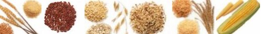 food banner3