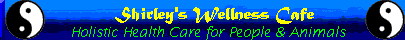 Shirley's Banner